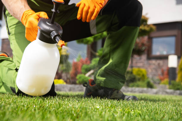 Best Commercial Pest Control Services  in Oakton, VA